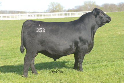 Connealy Earl Marshall